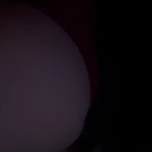 -7733236997587851608.mp4